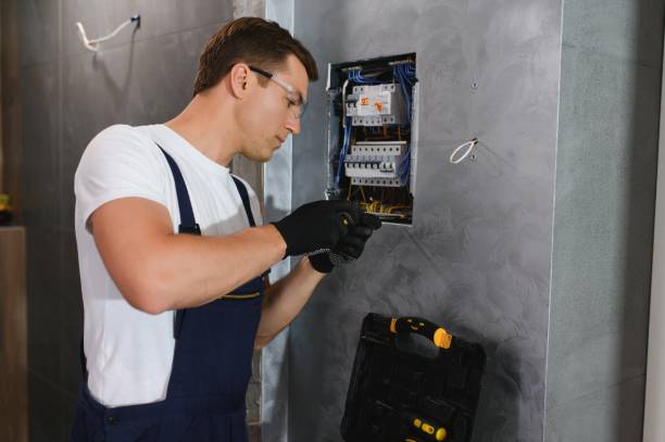 Best Electric Panel Repair  in Haughton, LA